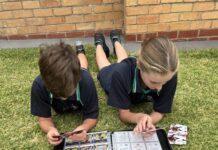 Lasting memories with Cards in the Yard