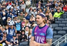 Stewart cleared of major knee damage