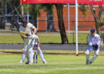 gcacricket_462442_06