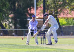 gcacricket_462442_16