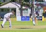 gcacricket_463979_03