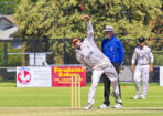 gcacricket_463979_05