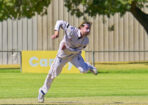 gcacricket_463979_18