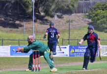 Promotion beckons for Wallabies or Kookas