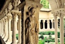 Discover Vineyards, Gastronomy and Culture