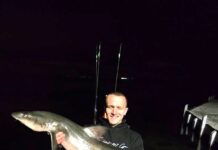 Fishing about to heat up