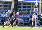 gflfooty_470280_10
