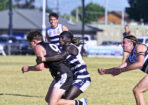 gflfooty_470280_13