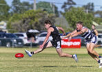gflfooty_470280_16