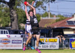 gflfooty_470280_23