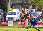 gflfooty_473877_01