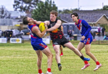 Joeys outlast Swans in the wet