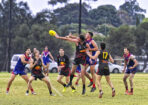 gflfooty_473877_06