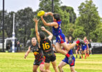gflfooty_473877_10