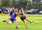gflfooty_473877_11