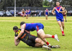 gflfooty_473877_19