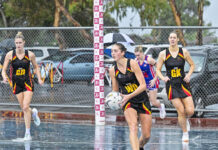 Redemption not a factor for Joeys