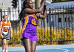 netball_469954_05