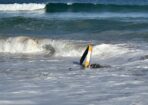 Crash_475747_01-4