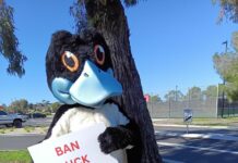 Protesters against Bellarine hunting