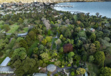 Green Geelong gets UN nod