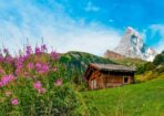 VIKswitz_476855_05