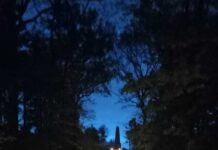 Living history on a battlefield tour