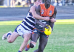 footy_476962_01