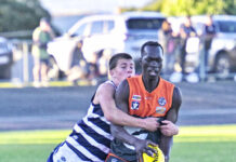 Shaw turns the heater on at Geelong West