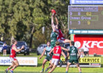 footy_477690_01