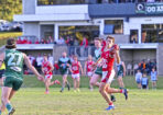 footy_477690_23