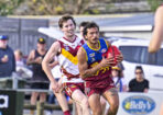gdflfooty_475544_03