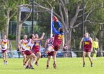 gdflfooty_475544_05