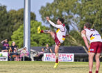 gdflfooty_475544_16