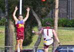 gdflfooty_475544_24