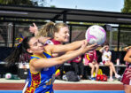 gdnlnetbal_475550_07