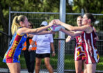 gdnlnetbal_475550_19
