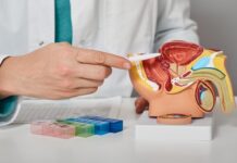 Prostate cancer support groups flourish