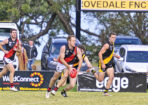 gflfooty_477681_03