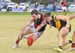 gflfooty_477681_17