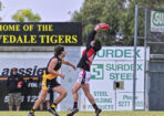 gflfooty_477681_26