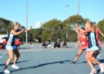 netball_476564_01-1