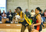 netball_477682_23