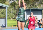 netball_477687_02