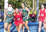 netball_477687_08