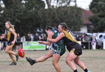 Stacey bags seven in big win