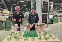 Fresh food and convenience sets tone for Woolworths reopening