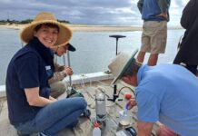 World Environment Day actions