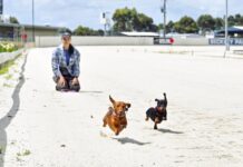 Celebrating the ‘sassy’ dogs