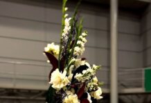 Golden win for Charlotte